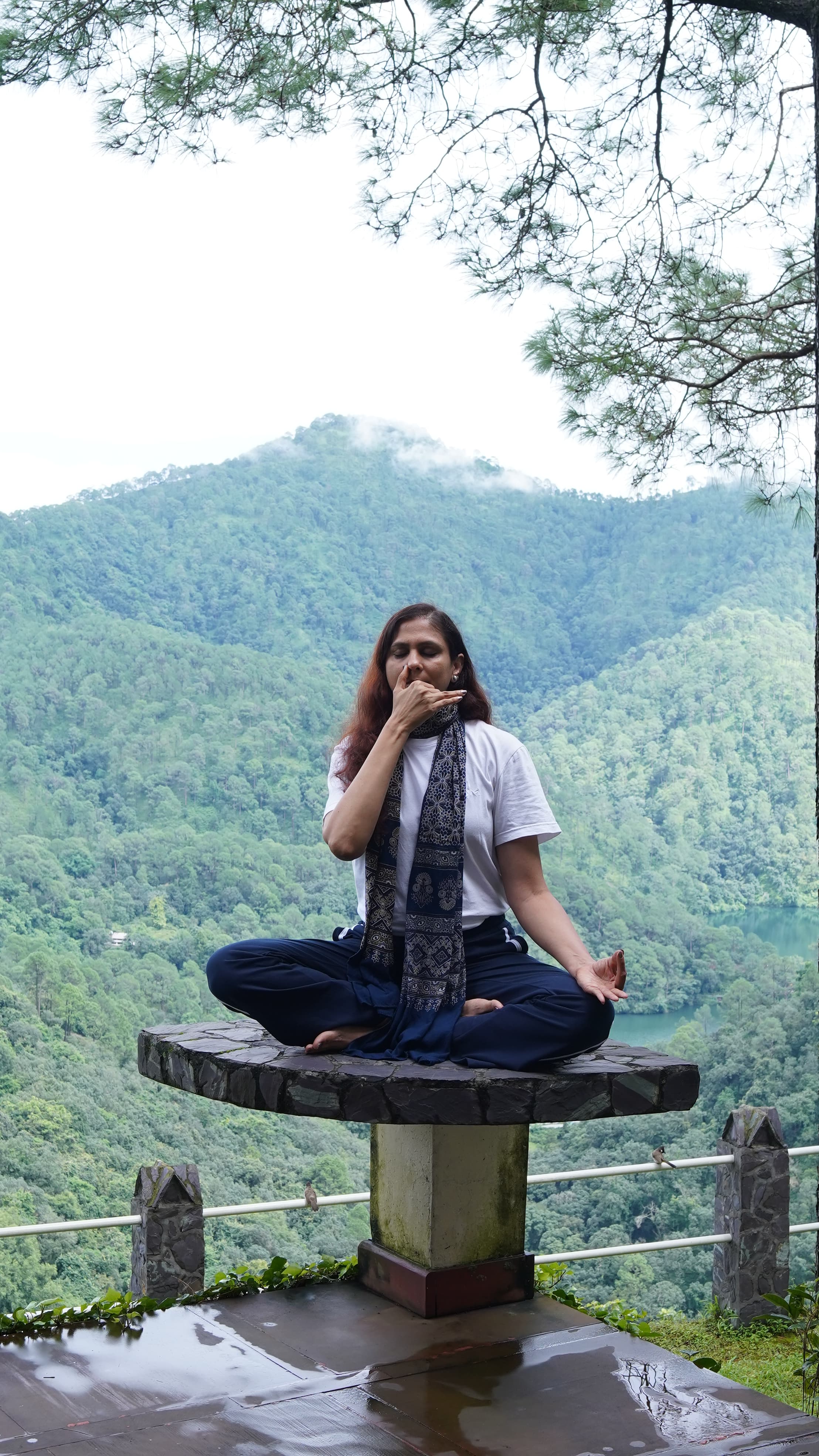 Online Breathwork Session